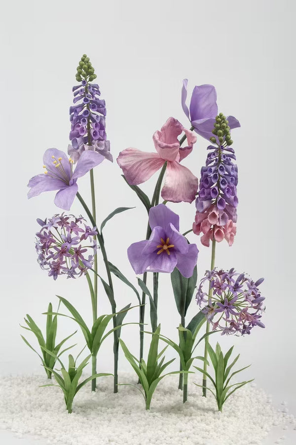 Iris & Hyacinth Grandeur Giant Flowers
