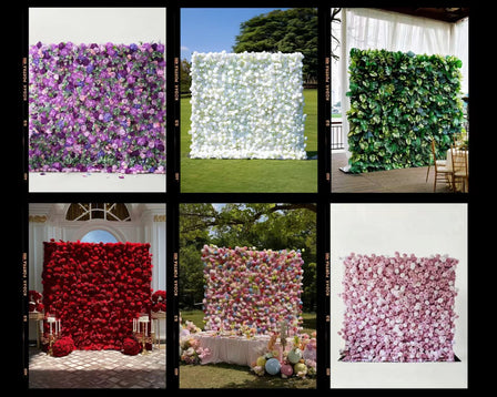 What Do Wall Flowers Look Like? The Captivating World of Flower Walls