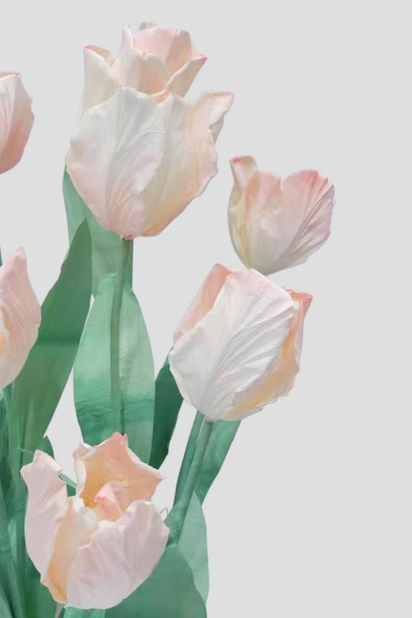 Blush Tulip Giant Flowers