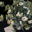 Home Floral Arrangement