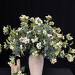 Home Floral Arrangement