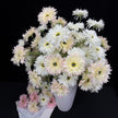 Home Floral Arrangement