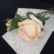 Home Floral Arrangement