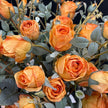 Home Floral Arrangement
