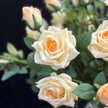 Home Floral Arrangement