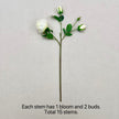 Home Floral Arrangement