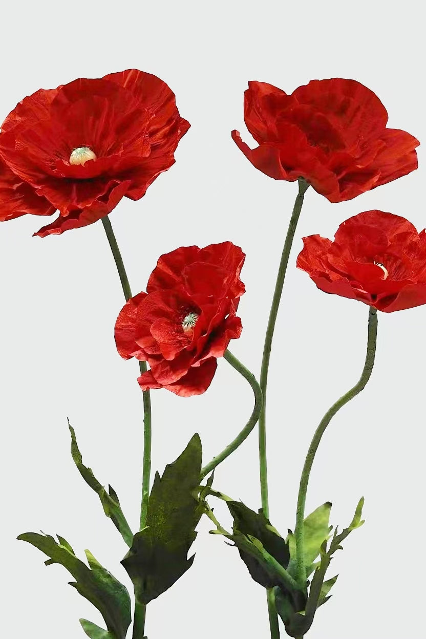Crimson Giant Flowers