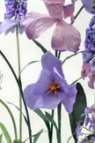 Iris & Hyacinth Grandeur Giant Flowers