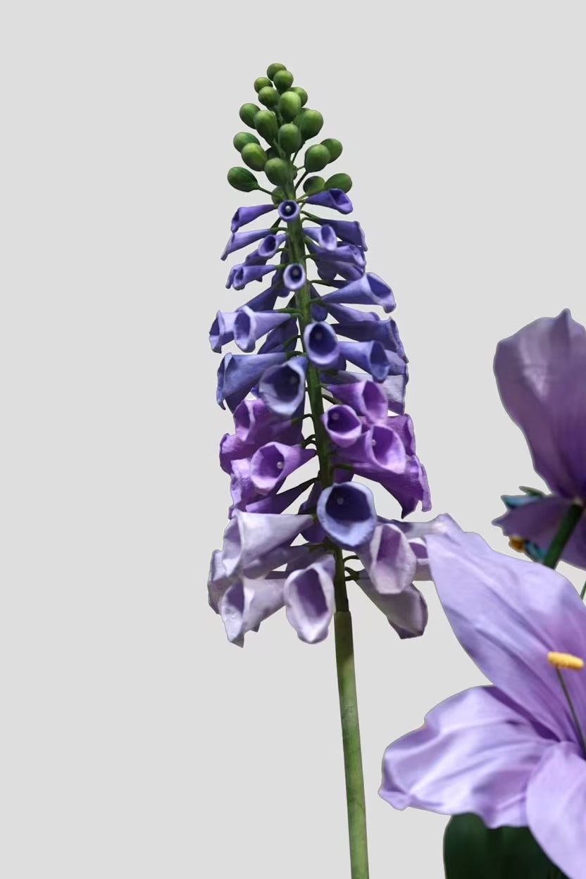 Iris & Hyacinth Grandeur Giant Flowers
