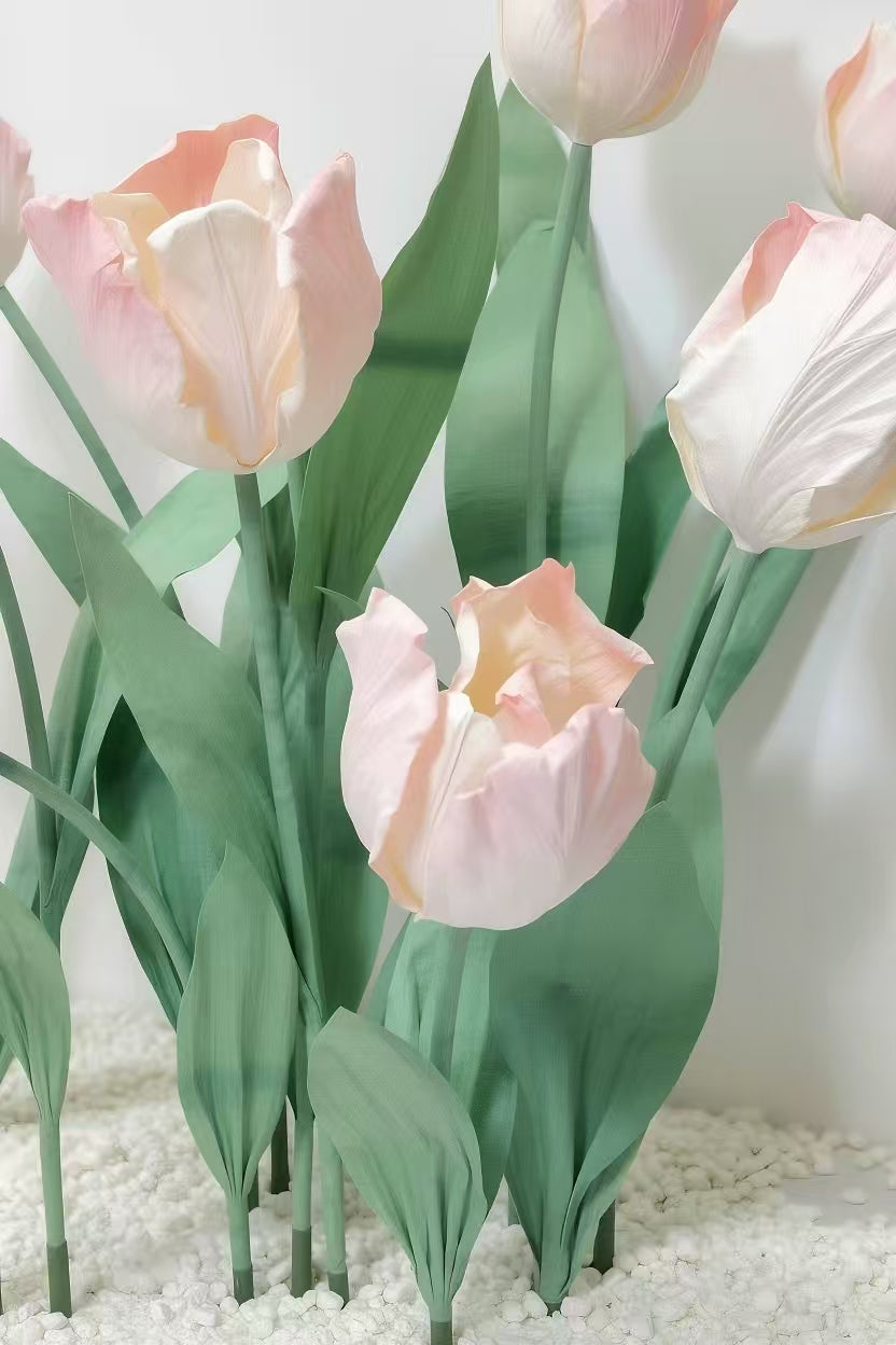 Blush Tulip Giant Flowers