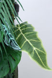 Lush Green Leaves 5D Flower Wall