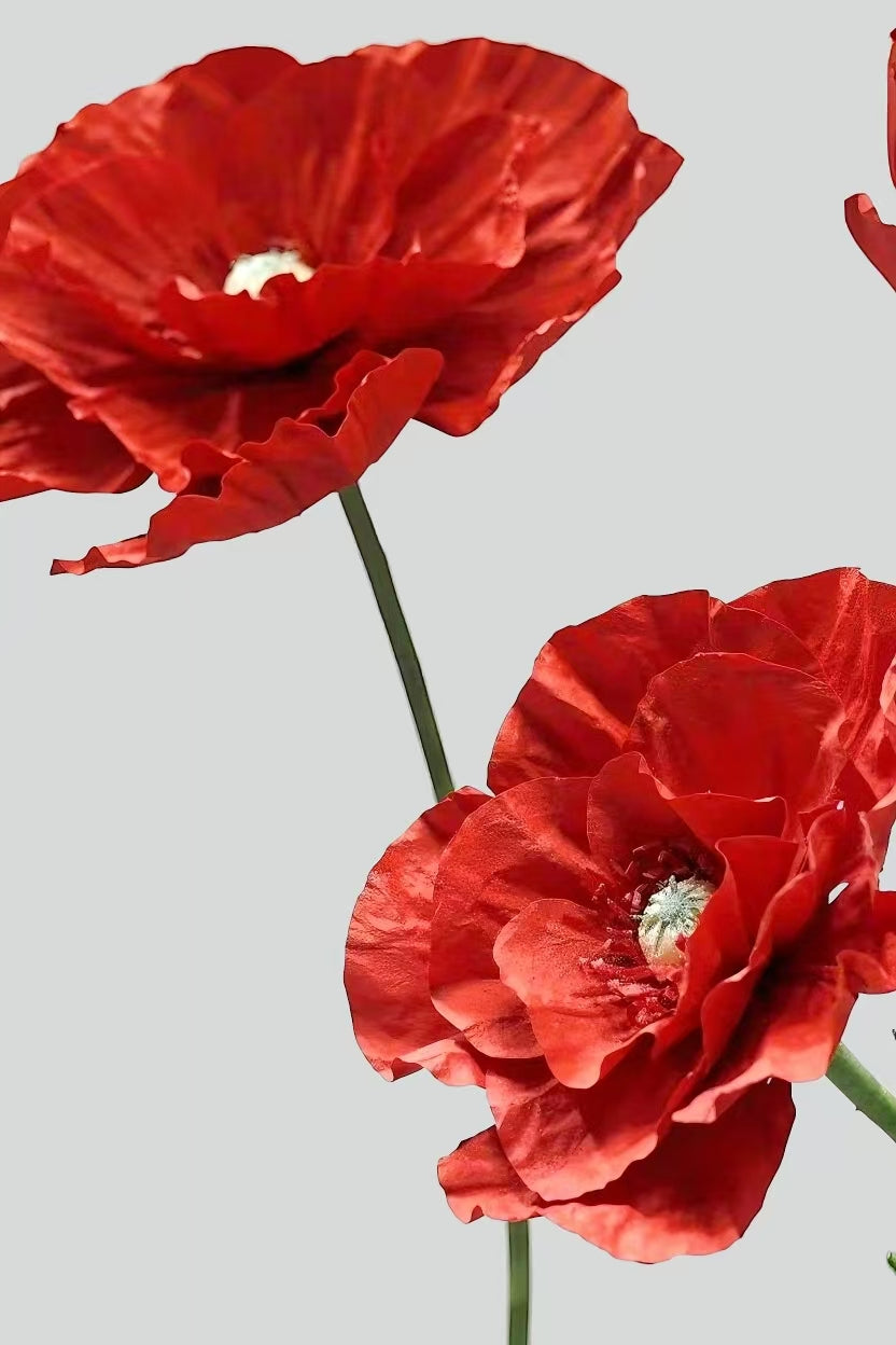 Crimson Giant Flowers