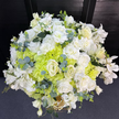 Verdant Whisper 24