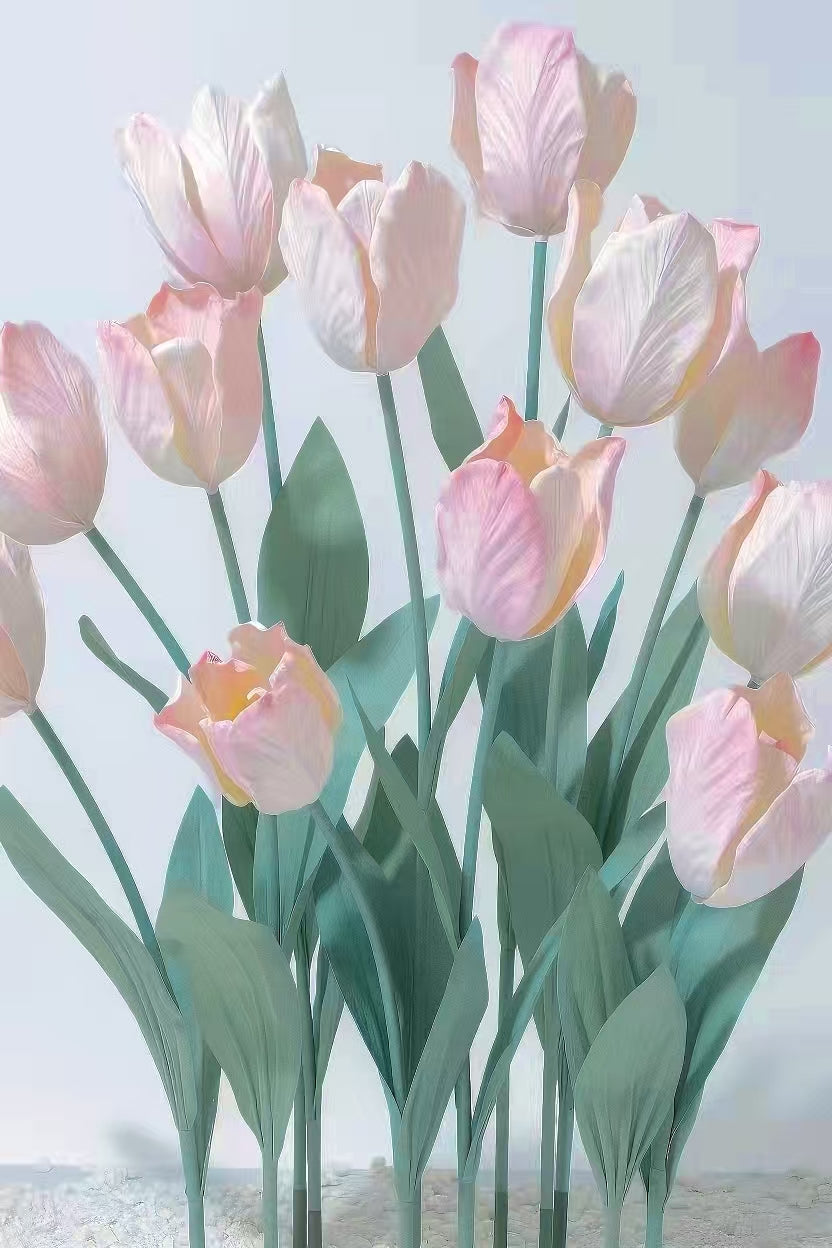 Blush Tulip Giant Flowers