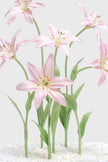 Blush Lily Giant Flowers