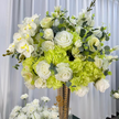 Verdant Whisper 24