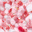 US seller---5D Baby Pink Rose Flower Wall  (8x8 ft) - Roll-Up Curtain Style Fabric Flower Wall for Wedding Party Photo Backdrop