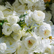 US Stock---5D Rose Flower Wall 8x8ft, Fabric Flower Wall Backdrop, Rolling Up Curtain Wall, Wedding Party Photo Booth Backdrop
