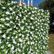 US seller--Greenery and Roses Flower Wall 8*8ft  - Flower Wall Rolling Up Curtain Wall, Fabric Flower Wall, Wedding Party Photo Backdrop