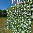 US seller--Greenery and Roses Flower Wall 8*8ft  - Flower Wall Rolling Up Curtain Wall, Fabric Flower Wall, Wedding Party Photo Backdrop