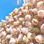US seller---5D Light Brown Rose Flower Wall   - Flower Wall Rolling Up Curtain Wall, Fabric Flower Wall, Wedding Party Photo Backdrop