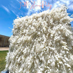 8x8 Rose Flower Wall Backdrop: Wedding, Bridal Shower Photo Booth