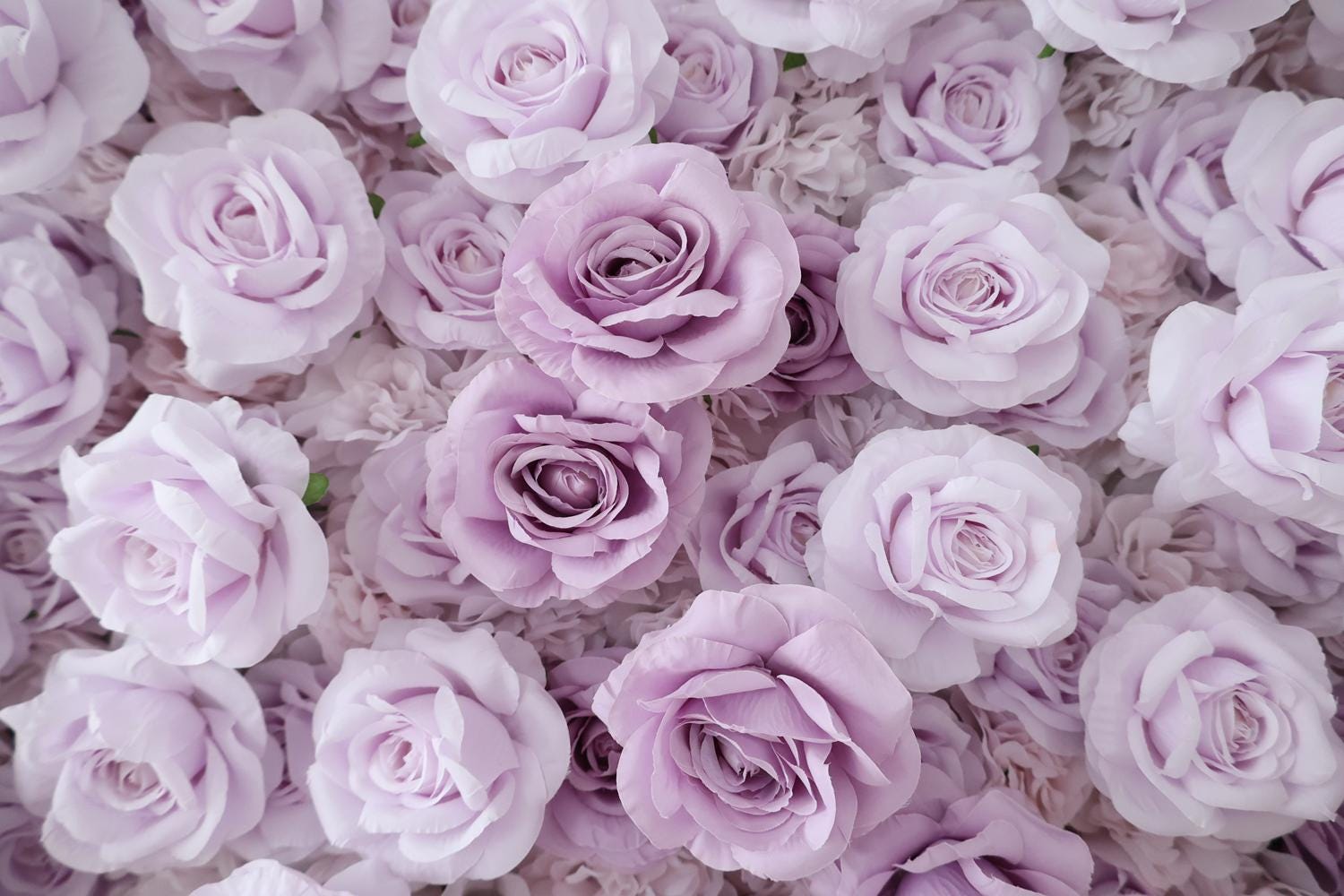 US Seller--8x8ft Romantic Lilac Purple Flower Wall 8x8ft, Rolling Curtain Backdrop, Artificial Fabric Flower Wall for Weddings & Events