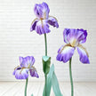 Giant EVA Purple Iris Flowers, Waterproof Oversized Floral Decor, Luxury Mall Display, Boutique Window Decor, Event Decoration（3 Flowers）