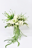 Verdant Cascade Bridal Bouquet