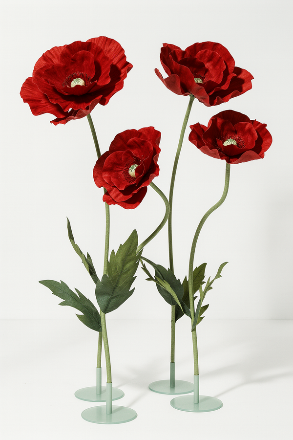 Crimson Giant Flowers