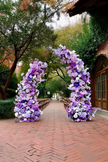 Lavender Purple Rose Wedding Arch