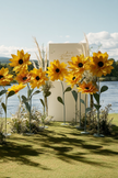 Sunflower Giant Flowers