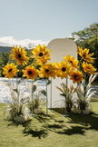 Sunflower Giant Flowers