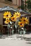 Sunflower Giant Flowers