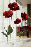 Crimson Giant Flowers