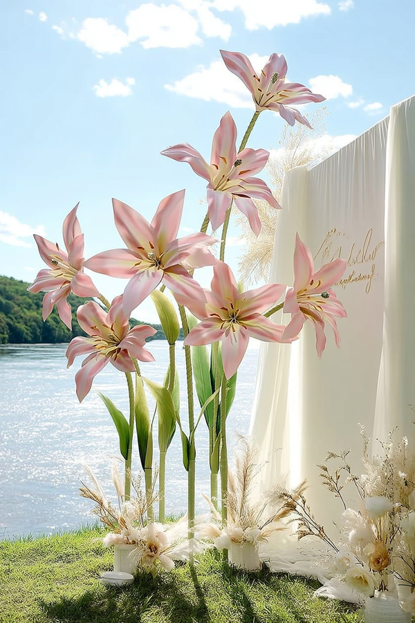 Blush Lily Giant Flowers