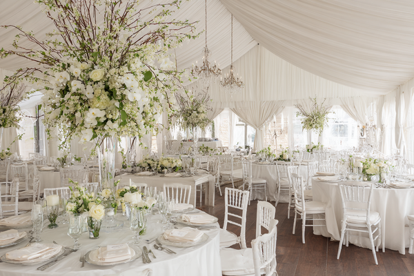 Timeless White Collection